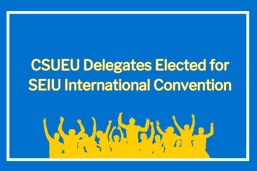 Delegates Elected .png